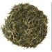 CENVEL Japanese Sencha Green tea | 100% Pure Natural Loose Leaf Sencha Green Tea | Premium Quality | From Kagoshima Region | Pesticides Free. GMO Free (100g) - Buy Online on GoSupps.com