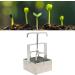 Premium Soil Block Maker Tool for Seedlings - Manual Hand Held Seed Starter Garden Tool | Perfect for Seedling Sprouting - Buy Online on GoSupps.com