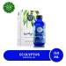 Eucalyptus Oil - 4 oz | Natural Essential Oil for Aromatherapy and Wellness Eucalyptus 4 Fl Oz (Pack of 1)