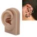 Flexible Reusable Simulated Human Ear Model - Right Ear for Earrings Display & Acupuncture Training (Brown) - Buy Online on GoSupps.com