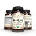 Warrior - Organic Immune System Support - Made with Nature's 8 Most Potent Immunity Defense Herbs