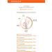 Flawless Skin with Missha M Perfect Blanc BB Cream 40ml/1.35 FL.OZ Rose/No.19 - Buy Online on GoSupps.com