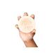Zest Of Moringa Hair & Skin Care Set | 100% Natural Moringa Soap Oil Shampoo & Conditioner | Shop Internationally for Glowing Skin & Healthy Hair - Buy Online on GoSupps.com