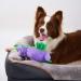 JOYELF Plush Squeaky Dog Toy - 2 Pack Ducks & Purple Platypus | Top Quality International Shipping - Buy Online on GoSupps.com