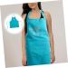 Beaupretty Adjustable Apron Hairstylist Aprons for Women Chef Cooking Apron Hair Stylist Apron Funny Apron Adjustable Strap Hair Treatment Apron Fashion Hair Dye Polyester Miss 110x66cm - Buy Online on GoSupps.com