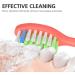 Replacement Toothbrush Heads Compatible with Philips One for Sonicare HY1100 HY1200 Electric Brush Handles 8Pack (Miami Coral) Red 1 count (Pack of 8) - Buy Online on GoSupps.com