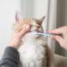 2 Pcs Dog Cat Toothbrush 360 Degree Soft Silicone Pet Toothbrush Small Puppy Kitten Toothbrushes Tiny Soft Dog Toothbrush Cat Dental Care Deep Clean Pet Teeth Cleaning Kit for Dogs Cleaning Mouth - Buy Online on GoSupps.com
