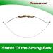Deeseeker Archery Limbsaver: Recurve Bow Stringer Tool for Longbow & Traditional Accessories - Black-White - Buy Online on GoSupps.com