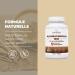 Bandini Ashwagandha BIO KSM-66 Extra Fort - 500mg par dose 5% de witanolides - 180 G lules pour 6 mois - Poudre de Withania Somnifera 100% V gane - Bien- tre Physique & Mental Tonus Concentration - Buy Online on GoSupps.com