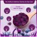 Dr. Brian Lutein Gummies: Eye Vitamins for Kids & Adults | Blueberry Chewable Supplement for Vision Health - Buy Online on GoSupps.com