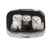 Ferrets Printing 2 Compartment Small Pill Case Cute Small Pill Box Purse Pill Boxs Travel Pill Organizer for Pocket Purse and Travel Gifts