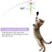 Bewudy 2 PCS Cat Wand Interactive Cat Toy Interactive Cat Wand Toys with Bells Cat Feather Toys for Indoor Cats Feather Dangler Funny Exercise for Indoor Cat Kitten Catcher (Ball) - Buy Online on GoSupps.com