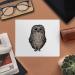 Buy Cute Owl Microfiber Lens & Eyeglass Cleaning Cloths - 2 Pack | International Shipping - Buy Online on GoSupps.com