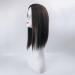 Nature Straight Mixture Snythetic Hair Topper 18" Side Parting Lace Base Clip in Wiglet Full Head Wear Crown Wig (Right Part 2# Dark Brown) - Buy Online on GoSupps.com