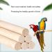 Bird Perches Cage Toys Parrot Wooden Platform Exercise Stands with Wood Swing Ferris Wheel Chewing for for Parakeet Conure Cockatiel Budgies Hummingbird (Style C) - Buy Online on GoSupps.com