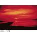 Cokin Square Red (Z003) Filter - 3 1/3-Stop for L Series Holder - 100mm X 100mm - Buy Online on GoSupps.com