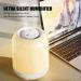 Ailgely 3L Cool Mist Humidifier | Two Nozzles | Four Mist Levels | Desktop Plant Humidifier - Buy Online on GoSupps.com