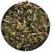 Herbal tea Saponaria plant 250 GRS Saponaria officinalis - Buy Online on GoSupps.com