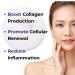 B-SEQNC Multi-Action Cream | Advanced Anti-Aging Moisturizer | Collagen Boosting & Skin Rejuvenation | 1.7 oz - International Shipping Available - Buy Online on GoSupps.com
