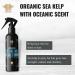 CRIUS COSMETICS Texture Max Sea Salt Spray - Hydrating & Volumizing with Organic Sea Kelp | UV Protection - 8 Fl Oz - Buy Online on GoSupps.com