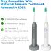 Replacement Brush Heads for 2023 Waterpik Sensonic Toothbrush - 8 Count with Covers Compact & White - Buy Online on GoSupps.com
