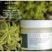 TZOL SKIN Turn Down and Recover Cr me - Hydrating Night Face Cream for Soothing Nourishing and Toning - Paraben Sulfate Silicone Free Vegan & Cruelty Free - Shop Now - Buy Online on GoSupps.com