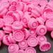 Mulutoo 400 Pcs Eyelashes Extension Volume Lashes Fan Blossom Cups - Pink | Quick Blossom Cup Glue Holder and Lash Organizer Tool for Eyelash Grafting & Nail Art - Buy Online on GoSupps.com