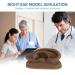 SimCoach Acupuncture Ear Model - Right Artificial Auricular Therapy Teaching Replica (Black) - Buy Online on GoSupps.com