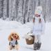 Cozy Cotton Dog Sweater for Small Dogs | Cute Warm Hoodies & Coats in Grey & Red - Perfect for Pets! - Buy Online on GoSupps.com