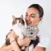 Wilhelm Fell EU Pet ID Card Case for Cats | Personalized Gift for Pet Owners | Protective Cover for Cat ID - Buy Online on GoSupps.com