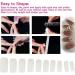 500x ABS False Nails Assorted Different Sizes Nails Cover Natural False Nails Fake Tips Tools With Box - Buy Online on GoSupps.com