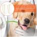 BESPORTBLE 16 Pcs Double Head Dog Toothbrush Pet Toothpaste Toothbrush for Dogs Small Dog Toothbrush Pp - Buy Online on GoSupps.com