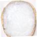 Buy 1pc Nails Color Display Plate - Manicure Nail Resin Palette 9.5x8.3cm | Perfect for Nail Art - Buy Online on GoSupps.com