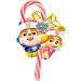 Paw Patrol Candy Cane Gift Box - 12 Individually Wrapped Traditional Red and White Candy Canes - 170g Strawberry Flavour - Perfect Tree Decoration and Stocking Filler - Buy Online on GoSupps.com