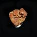 Natural Crystal Rough 16g Natural Stone Vanadinite Crystal Specimen Home Decoration from Morocco A4-1 Home Decoration Natural Stones Household - Buy Online on GoSupps.com