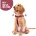 Soft Dog Diaper Trousers - 2 Pack | Comfortable Harness & Braces for Puppies | Pet Clothing in Beige-Wine M - Buy Online on GoSupps.com