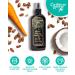 Caribbean Breeze Ultimate Carrot Tanning Oil Spray with Coconut Oil & Aloe Extracts - 8.5 oz - Buy Online on GoSupps.com