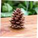 ABOOFAN 72 Pcs Xmas Pine Cone Ornaments Christmas Pine Cone Pine Cone Decorations Pine Needles Natural - Buy Online on GoSupps.com