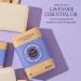 L'OCCITANE Shea Gift Set - Extra-Gentle Solid Soap: Verbena Lavender & Shea Milk | Amazon Exclusive - Buy Online on GoSupps.com