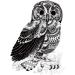Large Owl Temporary Tattoos - Set of 6 Sheets for Men, Women, and Teens - Buy Online on GoSupps.com
