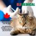 Elimedical Veterinary Insulin Syringe U-100 1cc 27G x 1/2 inch 100/box - Buy Online on GoSupps.com