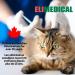 Elimedical Veterinary Use Insulin Syringe  U-100  0.5cc (ml)  29g x 1/2 inch (12.7mm)  100 per Box  05V2913VB - Buy Online on GoSupps.com