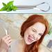 Buy Stainless Steel Tongue Freshener | Oral Care Tongue Cleaner - Easy to Clean for a Fresh Mouth - Buy Online on GoSupps.com