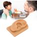 Waterproof Silicone Right Ear Model for Displaying Hearing Aid and Acupuncture Education - Buy Online on GoSupps.com