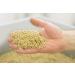 Organic Sprouted Buckwheat 1kg | Gluten-Free Sprouted Muesli | Alkaline Sprouted Grain - EU Quality - Buy Online on GoSupps.com