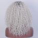 HBINGBING Synthetic Short Grey Wig for Women | Afro Kinky Curly & Brown Wigs | High Temperature Fiber - Buy Online on GoSupps.com