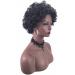 Spin for Hair African Short Curly Hair Women's Fashion European And American Puffy Black Small Curly Wig Set Perfect 7 Natural Curly One Size Black - Buy Online on GoSupps.com