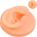 Buy Flexible Silicone Human Ear Model (Left) for Teaching & Demonstration - Ideal for eCommerce - Buy Online on GoSupps.com