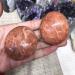Quartz Crystals Palm Stones Natural Gemstones Peach Moonstone Crystal Stones for Craft Reiki Home Decor Gifts - (Size: 40-60mm) - Buy Online on GoSupps.com