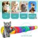 PAOPO 2-Way Collapsible Cat Tunnel Toy with Peek Hole and Ball - Interactive Cat Tube for Indoor Cats, Kittens, and Puppies - Perfect for Play and Chase - Buy Online on GoSupps.com